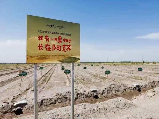 2023新疆之旅—邂逅胡杨林深度8日游 商品图4