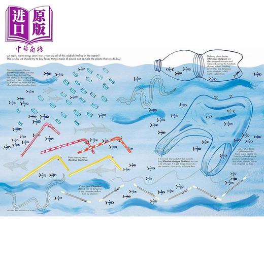 【中商原版】一千条鱼 1001 Fish 英文原版 儿童科普绘本 动物知识百科图画书 精装精品绘本 进口儿童读物 Joanna Rzezak 商品图4