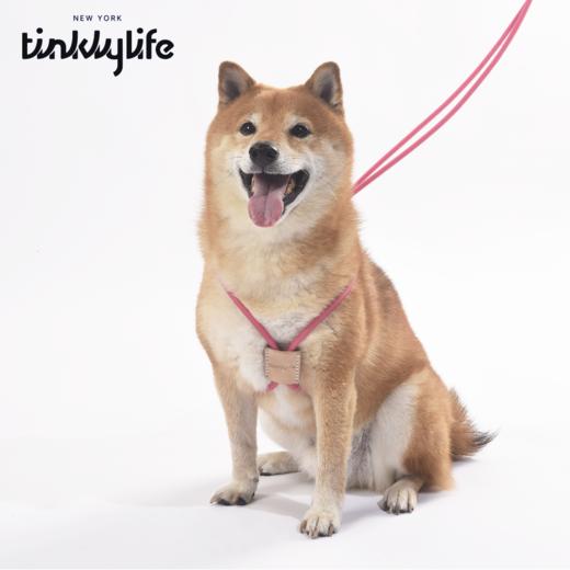 Tinklylife 自然十合一防水牵引胸背 商品图1