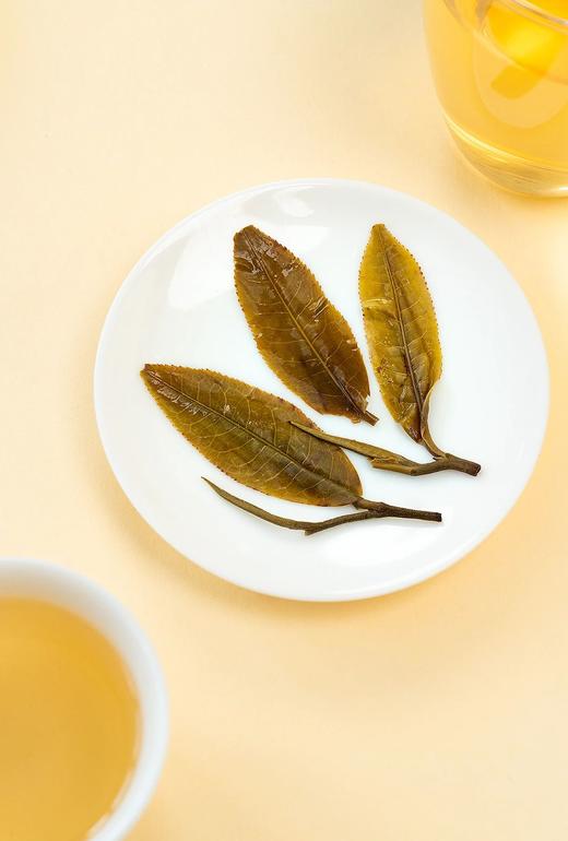 2023景迈山邦崴古树茶 商品图4