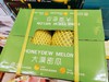 大漠蜜瓜一箱 商品缩略图1