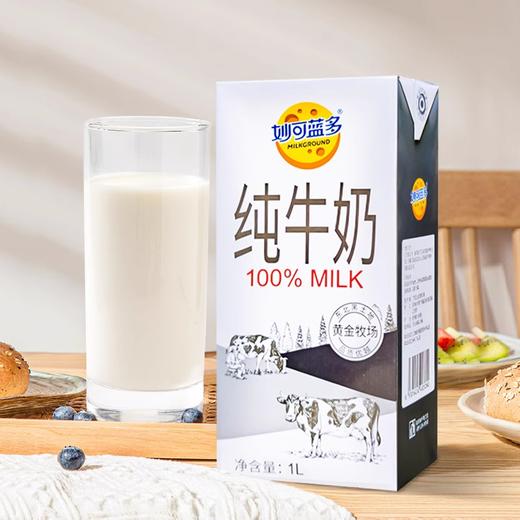 1L 妙可蓝多纯牛奶 全脂灭菌乳 咖啡打奶泡奶茶店早餐奶餐饮牛奶 商品图0