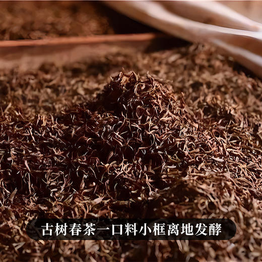 【宫廷易武（熟茶）】2015年易武头春头采核心拼配8年陈化宫廷级易武熟茶山泉水小框离地发酵 357g/饼 商品图2