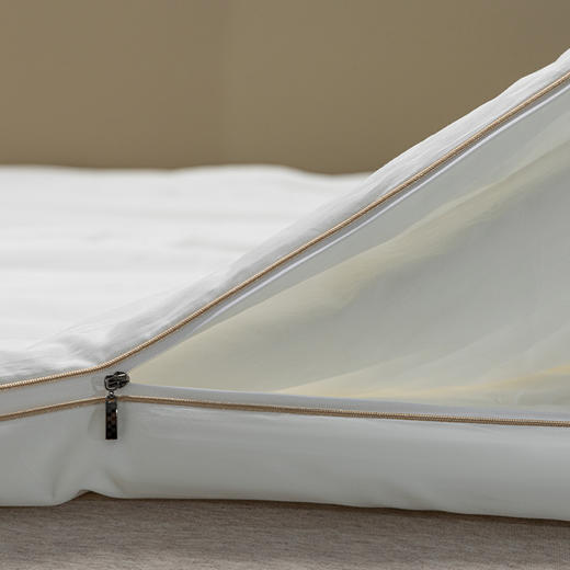 6F堂皇  四季锦蚕丝二合一被 商品图2