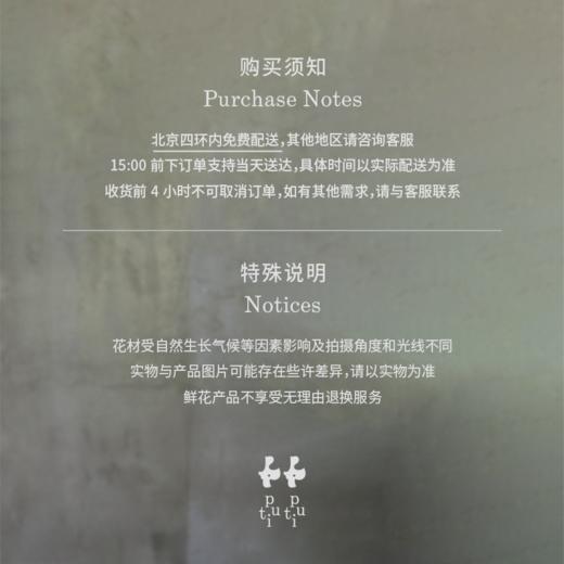 桌花系列｜神秘暮光 Mysterious Twilight 商品图4