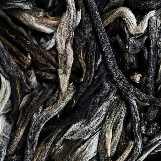 【最后十几饼】【曼松单株】2023年高奢春茶头春头采曼松单株单株1200年古树真正皇家味道献给那些JI致热爱的茶友357g/饼 商品图2