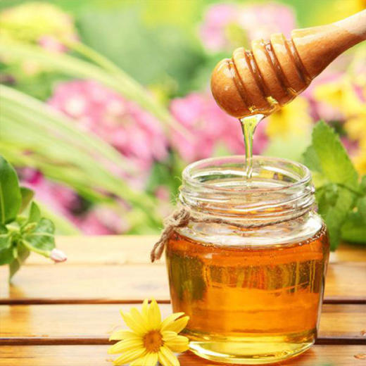 【疆果果】新疆特产 罗布麻蜜 10g*12支 商品图2