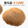 【国庆正常发货】【养胃膳食】在菌屋 东北猴头菇干货120g/袋 商品缩略图3