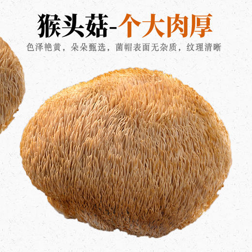 【国庆正常发货】【养胃膳食】在菌屋 东北猴头菇干货120g/袋 商品图3