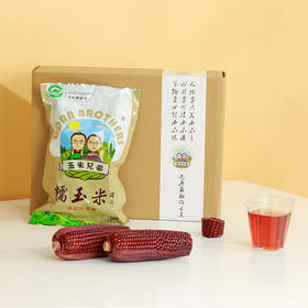 玉米兄弟有机黑玉米 非转基因有机栽培