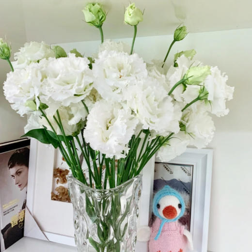 【佳海花业】洋桔梗  波浪白色  四合一（700-800g） 颜色深浅略有差异 以实物为准 云南基地发货（价格已包含包装费用） 运费以实际为准，多退少补。 商品图2