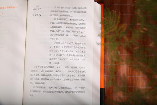 碧岩录今释 商品图5