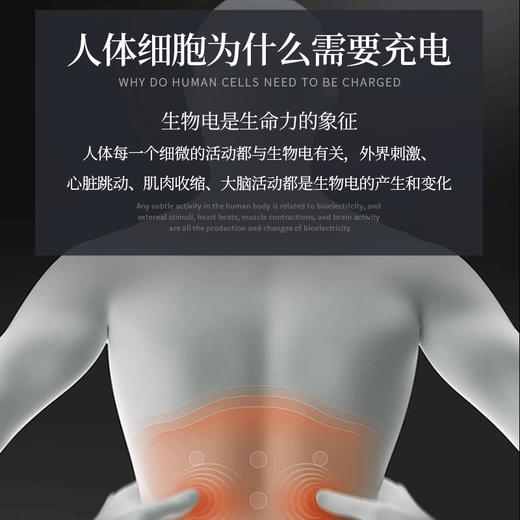 康健生机台湾PEMF脉冲能量毯/能量垫 商品图2