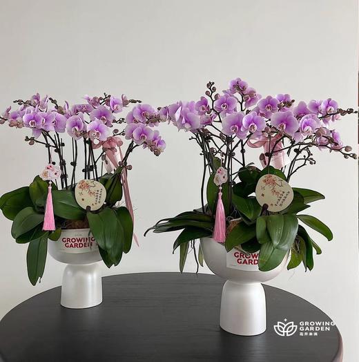 【配饰】刺绣蝴蝶流苏（1个/包） 商品图5