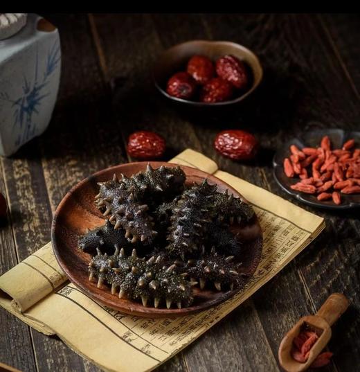 辽聖堂 | 淡干海参500g，自然生长，生态深海捕捞，参刺挺拔，韧性十足 华哥读报创始人亲赴源头选品 商品图2