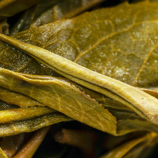 【奉先将军：吕布】2023年冰岛五寨一芽一叶头春头采全网仅此一款鼎奢品茗神兽事业部出品357克/饼 整提5饼出售 商品图7