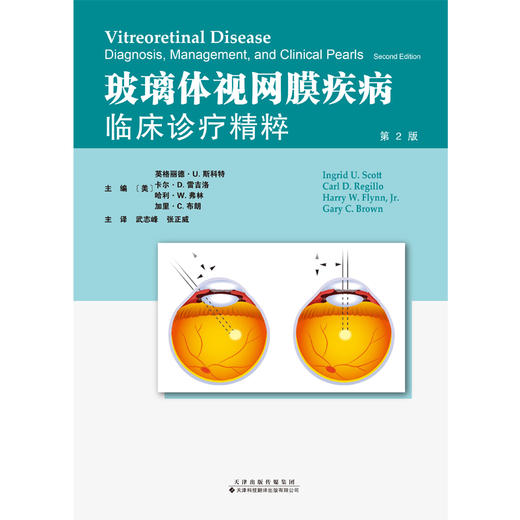 玻璃体视网膜疾病：临床诊疗精粹 眼科学 视网膜 玻璃体 疾病  手术
 商品图4