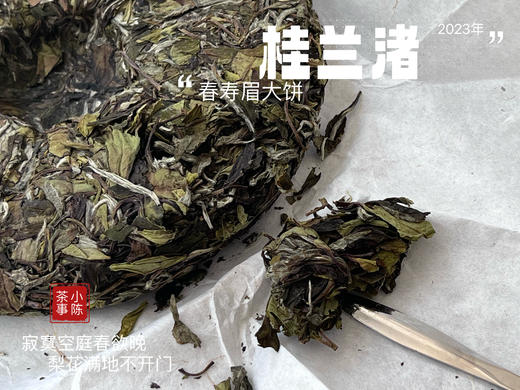 身为寿眉，心似牡丹，2023春寿眉饼《桂兰渚》喝出了牡丹饼《冰肌》的韵致 商品图5