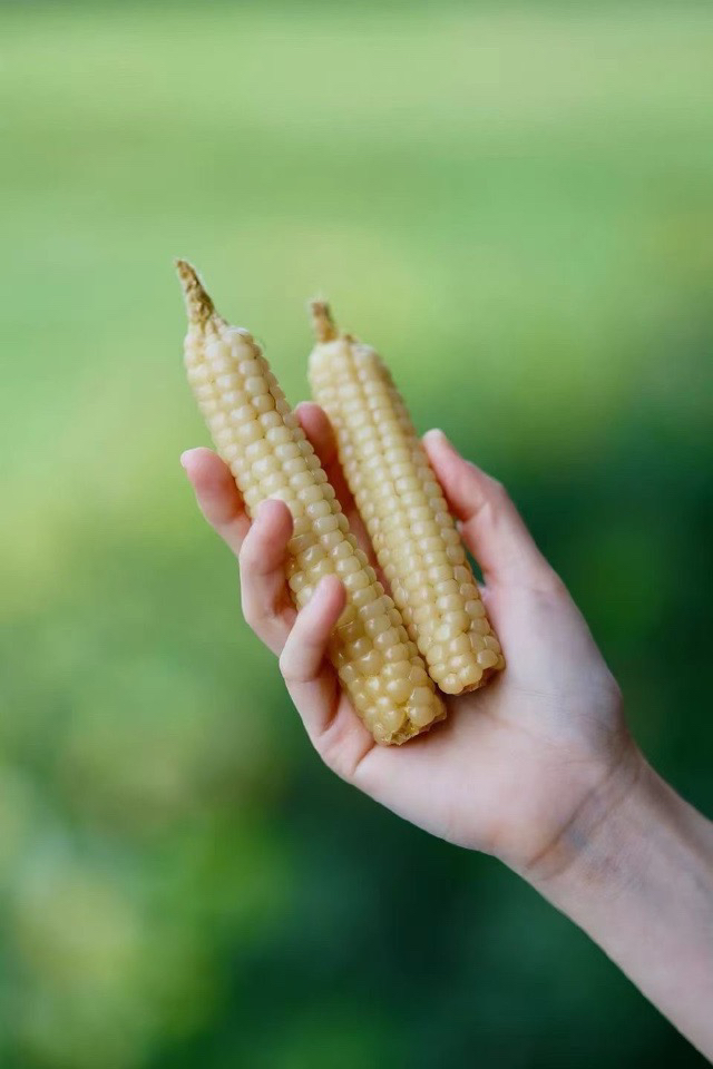 西双版难拇指玉米🌽4斤装，包邮！