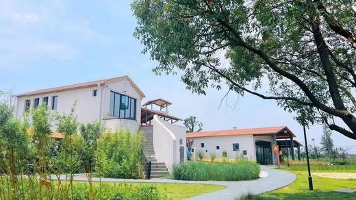 枝江仙女吉吉餐厅美食套餐 商品图3