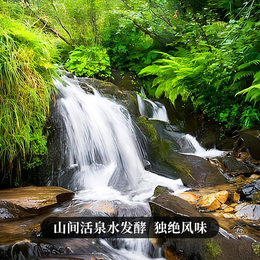 【宫廷易武（熟茶）】2015年易武头春头采核心拼配8年陈化宫廷级易武熟茶山泉水小框离地发酵 357g/饼 商品图8