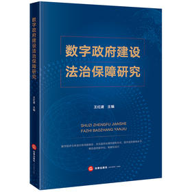 数字政府建设法治保障研究 王红建主编 法律出版社