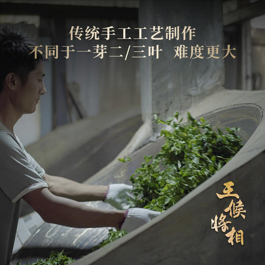 【奉先将军：吕布】2023年冰岛五寨一芽一叶头春头采全网仅此一款鼎奢品茗神兽事业部出品357克/饼 整提5饼出售 商品图4