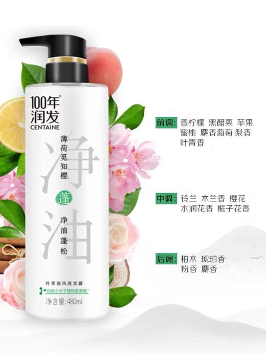 100年润发冷萃国风洗发露【480ml】 商品图1