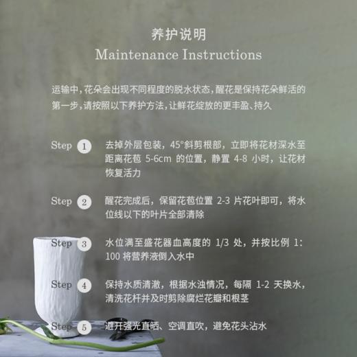 「Peony Season」绵绵蜜语Sweet Talk系列 商品图8