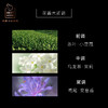 观云茶舍香薰液150ml单支礼盒 商品缩略图1