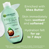 Garnier Intensive Shea Butter Body Lotion 400ml 商品缩略图3