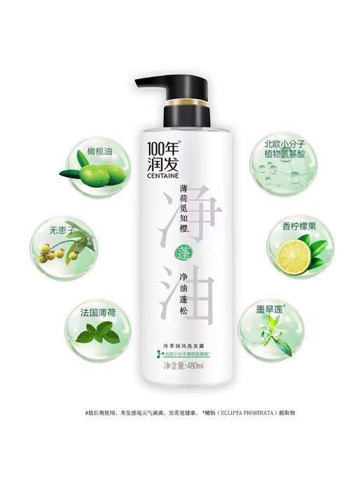 100年润发冷萃国风洗发露【480ml】 商品图3