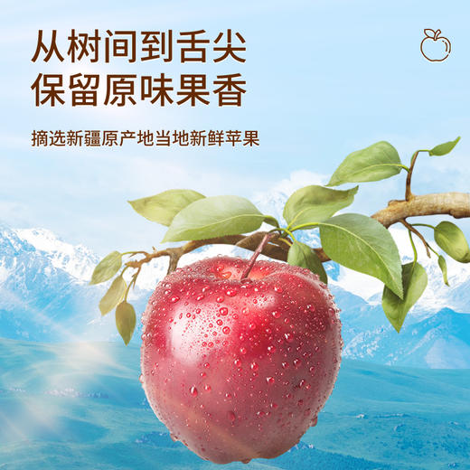 【疆果果】新疆特产 苹果干 80g*2袋 商品图2