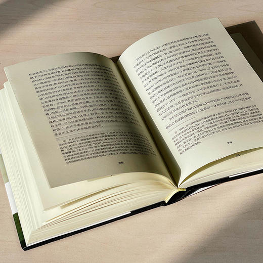 卢梭 一种心灵的哲学 轻与重文丛 生命现象学 心灵哲学 商品图11