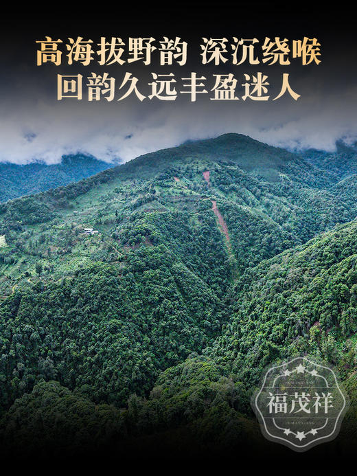 【砍盆箐】2023年云南头春普洱茶生茶普洱茶区砍盆箐古500年古树纯料茶饼357g 商品图2