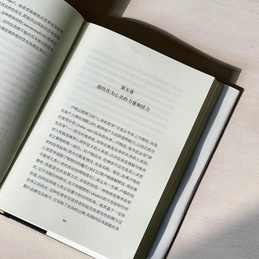 卢梭 一种心灵的哲学 轻与重文丛 生命现象学 心灵哲学 商品图7