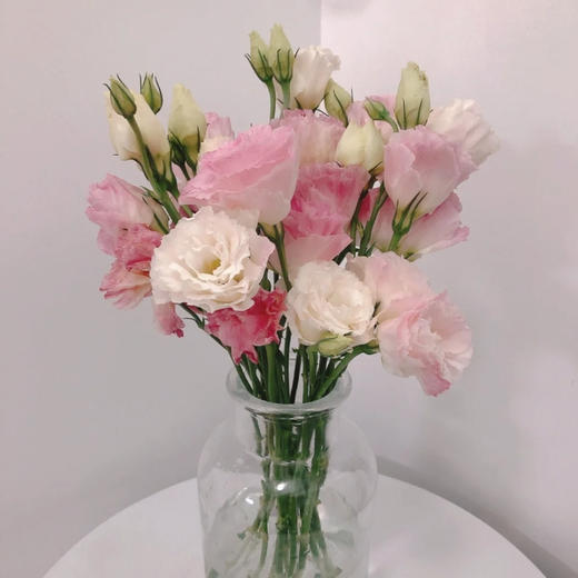 【佳海花业】洋桔梗  阳光粉  四合一（700-800g） 颜色深浅略有差异 以实物为准 云南基地发货（价格已包含包装费用） 运费以实际为准，多退少补。 商品图2