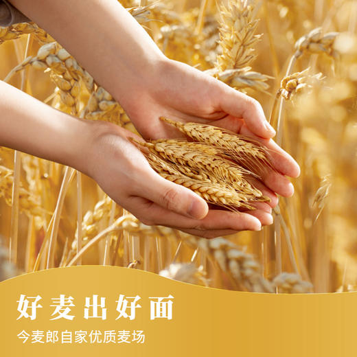 今麦郎 弹面桶 大份量多口味6桶/12桶装 劲道好面 经典好味 48小时发货 商品图5