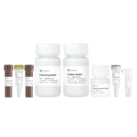 EpiArt DNA Methylation Bisulfite Kit V2