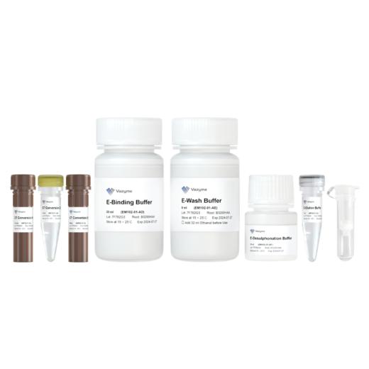 EpiArt DNA Methylation Bisulfite Kit V2 商品图0