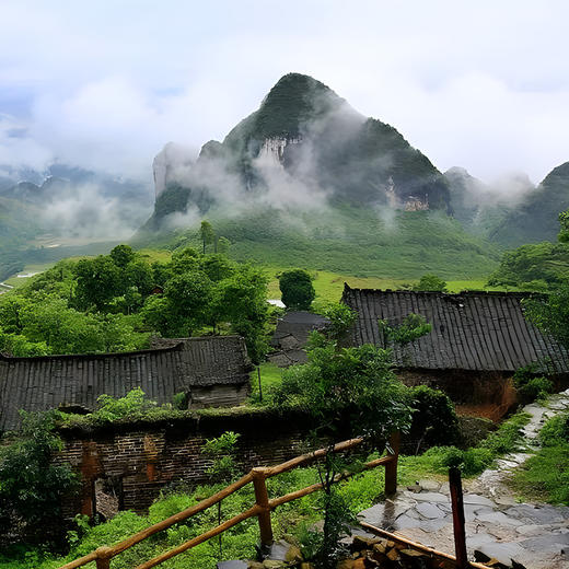 【旧衙门】23年头春头采古茶易武斗茶大会金奖原料易武北大门被遗忘的“亚特兰蒂斯”拍5发6 商品图3