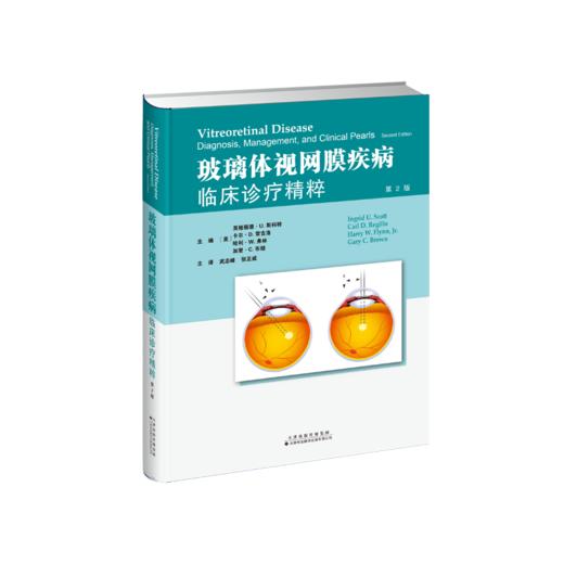 玻璃体视网膜疾病：临床诊疗精粹 眼科学 视网膜 玻璃体 疾病  手术
 商品图1