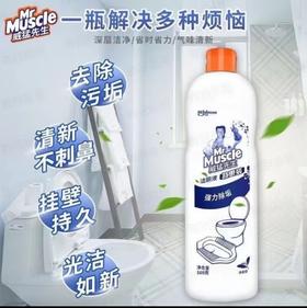 威猛先生洁厕液清香型500g