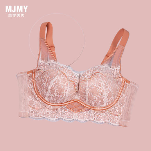 美季美优H法式撞色蕾丝中厚杯文胸W352B11 商品图1