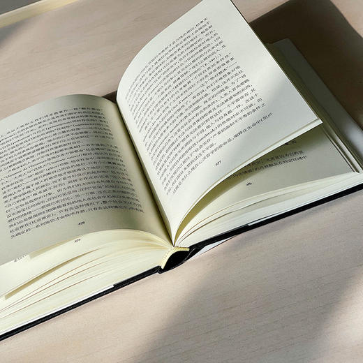 卢梭 一种心灵的哲学 轻与重文丛 生命现象学 心灵哲学 商品图10