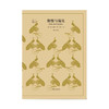 傲慢与偏见（译文40）([英]奥斯丁 著 王科一 译) 商品缩略图1