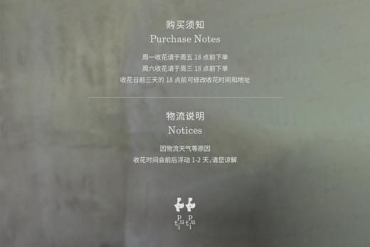 自然系列花束一期 商品图4