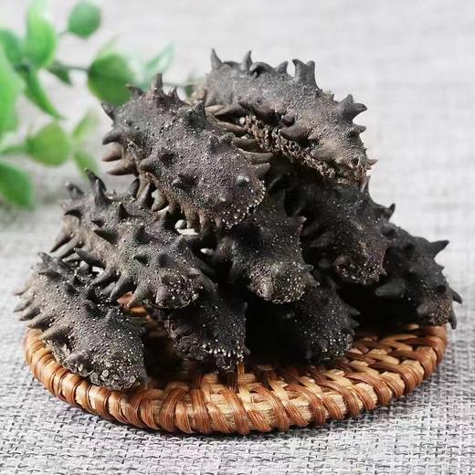 辽聖堂 | 淡干海参500g，自然生长，生态深海捕捞，参刺挺拔，韧性十足 华哥读报创始人亲赴源头选品 商品图1