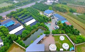 枝江董市镇丹桂苑4－8人餐