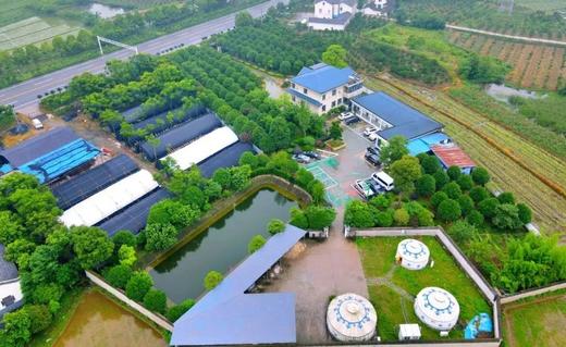 枝江董市镇丹桂苑4－8人餐 商品图0